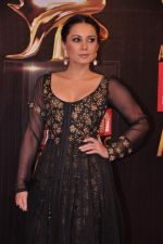 Minissha Lamba at Screen Awards red carpet in Mumbai on 12th Jan 2013 (483) - Copy.JPG